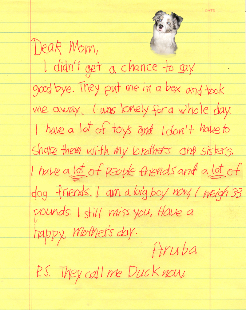 Duck's Letter